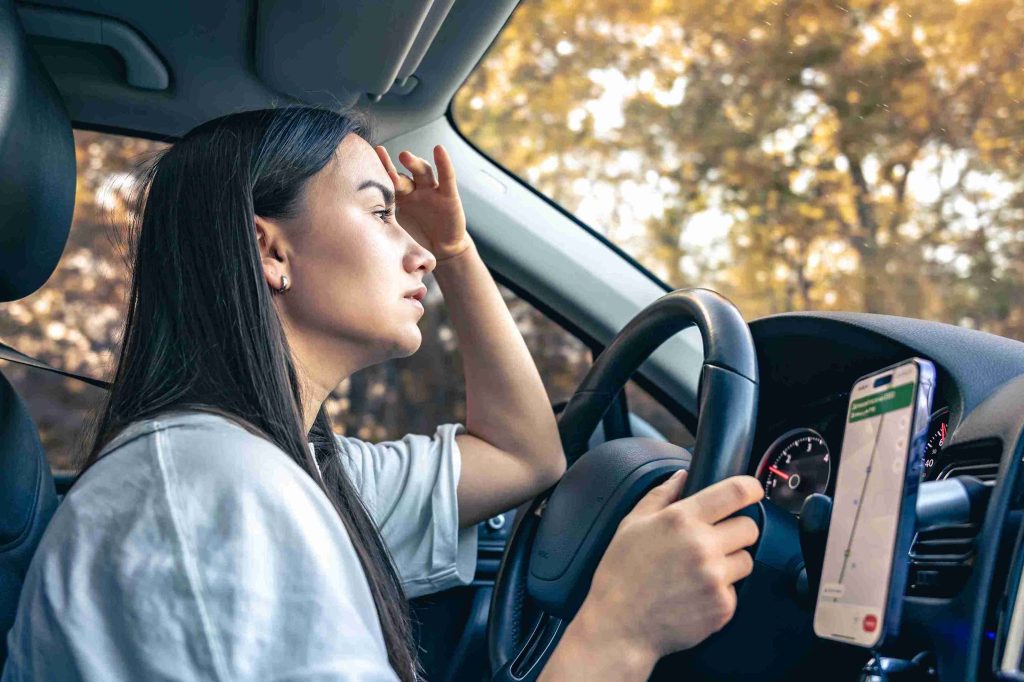 Car Mount