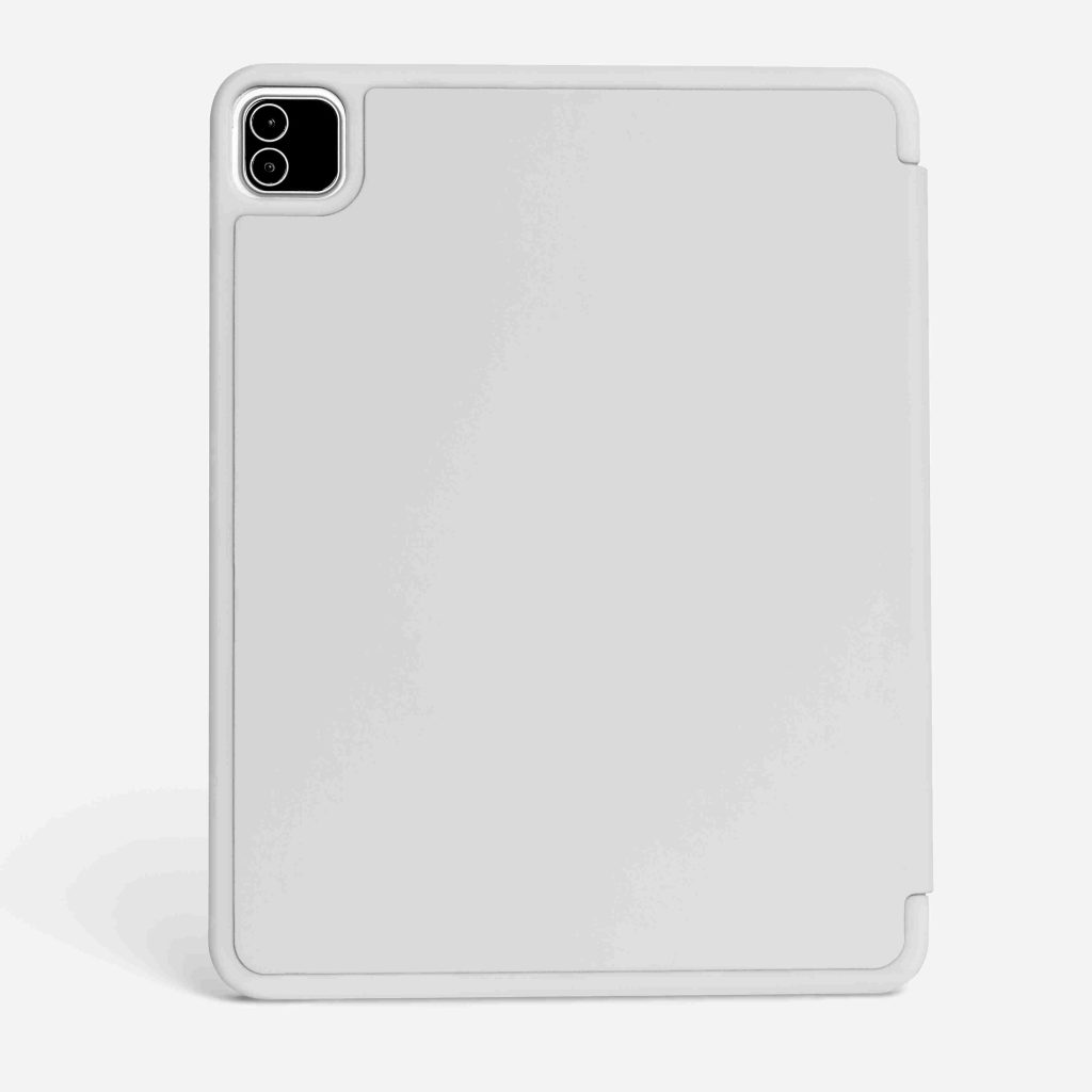 case for the Apple iPad